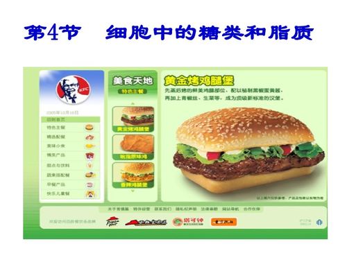 細胞中的糖類和脂質(zhì)下載 生物